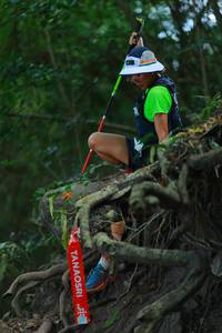 BIB: 
                            <button type="button" onclick="openModal(19488376)" class="btn btn-primary btn-sm float-right btn-popup" data-toggle="modal" data-target=".modal-high-quality">
                        <i class="fas fa-shopping-cart"></i> Add to Cart
                    </button>
                                            <button type="button" onclick="isThisMe(19488376, true)" class="btn btn-success btn-sm float-right btn-popup btn-isme hidden" data-toggle="tooltip" data-placement="bottom" title="นี่คือรูปของคุณใช่ไหม คลิกที่นี่เพื่อเอาเข้าอัลบั้ม">
                        <i class="fas fa-plus"></i> Add to album
                    </button>
                    <button type="button" onclick="isThisMe(19488376, false)" class="btn btn-warning btn-sm float-right btn-popup btn-isnotme hidden">
                        <i class="fas fa-ban"></i> Remove from album
                    </button>